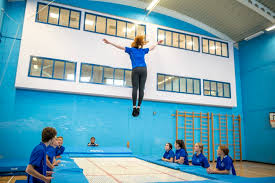 Image result for Linton Village College Badminton Club