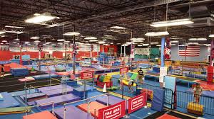 Image result for Fish trampoline and gymnastics club