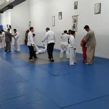 Image result for Goshin Ryu Atemi JuJitsu
