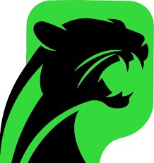 Image result for Pickley Green Panthers Junior Badminton Club