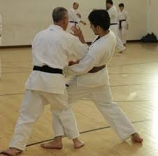 Image result for Haslemere Karate Club