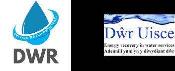 Image result for Seren Dwr