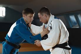 Image result for Ashby Ivanhoe Judo Club