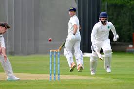Image result for Ivybridge Cricket Club