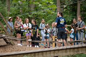Image result for Go Ape! Alice Holt