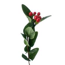 Attēlu rezultāti vaicājumam “Hypericum perforatum fruit”