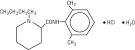 <b>Bupivacaine</b> Spinal Description