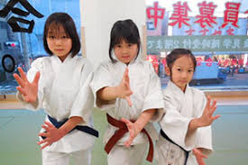 Image result for Goryukai Aikido Yoshinkan (Chichester)