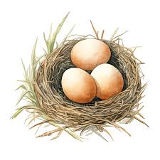 Attēlu rezultāti vaicājumam “nest”