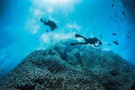 Image result for Deep and Wide Diving