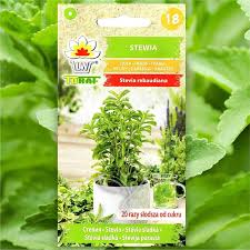 Image result for Stevia rebaudiana