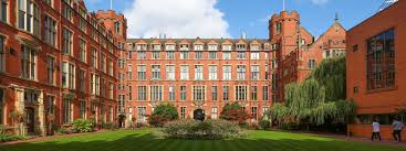 Image result for University of Sheffield Ultimate- Phat 'eds