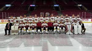 Image result for Devizes Hockey Club