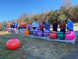 Image result for Brinnington Park (Veterans) Bowling Club