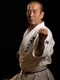 Image result for Zen Shin Seicho Do Adult Karate