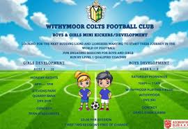 Image result for Withymoor Colts Fc