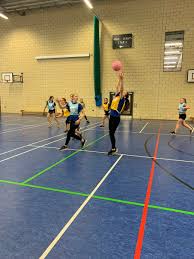 Image result for Monmouth Netball Club