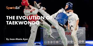 Image result for COMBAT TAEKWONDO