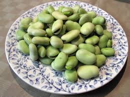 Attēlu rezultāti vaicājumam “Vicia faba”