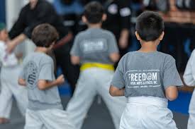 Image result for Freedom Martial Arts
