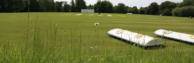 Image result for Antelope & Castle Cricket Club