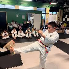Image result for Imperial Karate Club