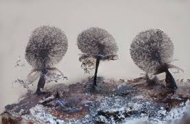 Attēlu rezultāti vaicājumam “Lamproderma pseudomaculatum”