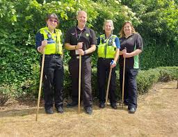 Image result for Biggleswade Sc