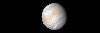 Image result for venus