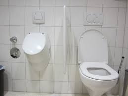 Image result for german toilet