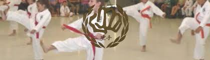 Image result for David Fuller Karate