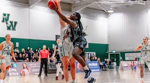 Image result for Nottingham Wildcats