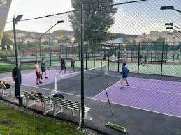 Image result for Milton Keynes Pickleball Club