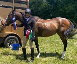 Image result for Winchester Riding Club