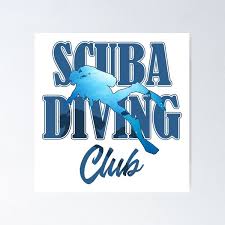 Image result for 3D Diving Club