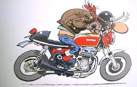 Image result for Joe Bar