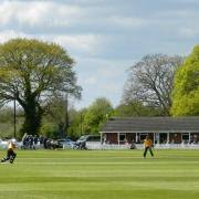 Image result for Whitchurch Wayfarers Cricket Club