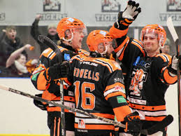 Image result for Telford Tigers