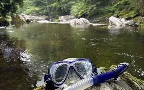 Image result for Wyndley NSC Snorkelling Club