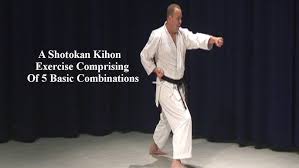Image result for ZOKU SHOTOKAN KARATE (Baldock)