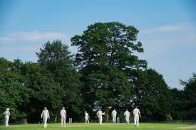 Image result for South Weald Cricket Club