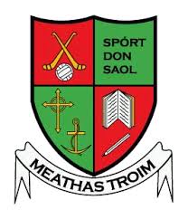 Image result for Wolfe Tones Gaelic Athletic Club