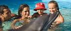Dolphin Swim Experience | Swimming with Dolphins in Puerto Vallarta