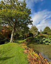 Attēlu rezultāti vaicājumam “Typhula erythropus”