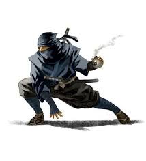Image result for Hertfordshire Iga Ryu Ninjutsu