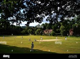 Image result for Abinger Sports Club