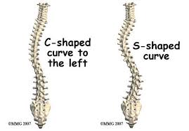 Image result for Curves