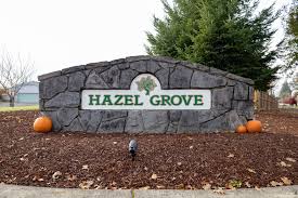 Image result for Hazel Grove