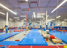 Image result for York University Gymnastics Club