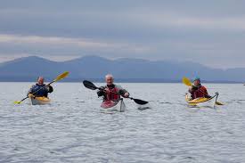 Image result for Bute Kayak Club